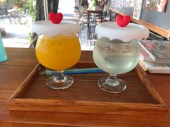 -柴犬高等学院·狗咖·柴犬售卖·宠物训练