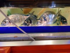 -官塘锋记鱼生·生腌·砂锅粥(牌坊街店)