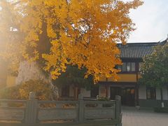 -圆通寺