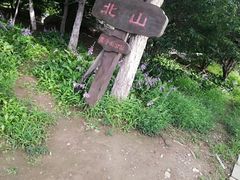 -莫子山公园