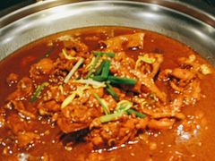 -成老灶火锅鸡(高东街店)