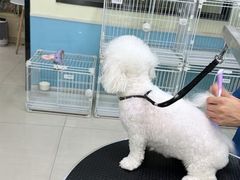 -天宠宠物医院24小时·急重症诊疗中心·全科·腔镜特色(和平分院)