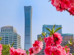 -团结湖公园
