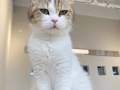 -怪兽屋·羊驼·猫咖·狗咖(俊华广场店)