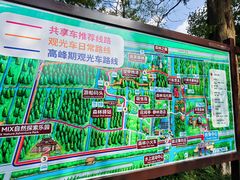 -黄海国家森林公园