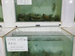 -海盗餐厅