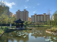 -颜真卿公园-文博苑景区