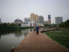 -雁滩公园