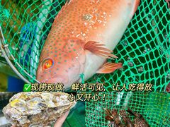 -三亚亚特兰蒂斯度假区
