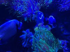 -太平洋海底世界