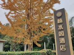 -雅安楠水阁温泉酒店