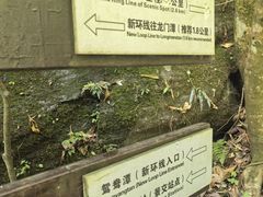 -石台牯牛降景区