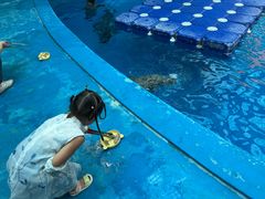 -海合安成都极地海洋公园