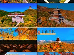 -迎泽公园