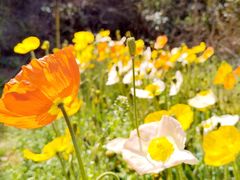 -名花谷生态庄园