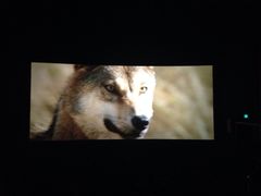 萧山德纳国际巨幕影城-萧山德纳MAX影城