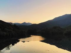 -龙坞茶村