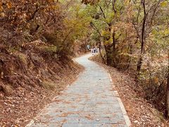 -青龙山国家森林公园
