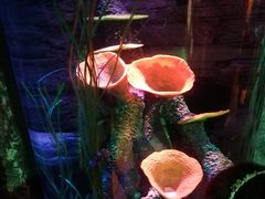 -沈阳海洋探索中心