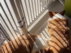 -平行世界·猫咖(首经贸店)