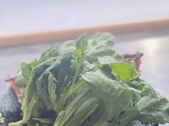 茼蒿-湊湊火锅·茶憩(和平大悦城店)