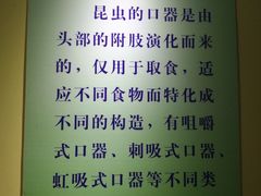 -上海昆虫博物馆