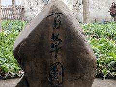 -绍兴鲁迅故里·沈园景区