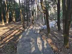 -广州市帽峰山景区