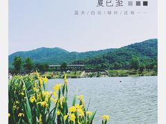 -石塘人家