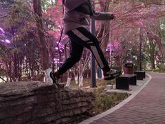 -金鸡湖桃花岛