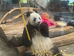 -海南热带野生动植物园