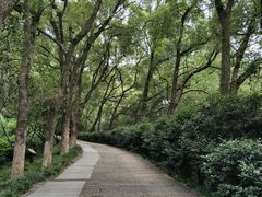 -宁波市保国寺古建筑博物馆