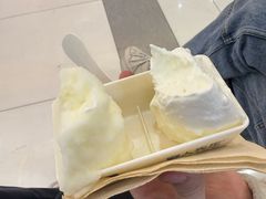 -野人先生Gelato(上海长宁龙之梦店)