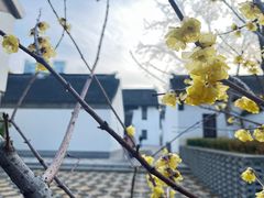 -半山书局(新世纪商城店)