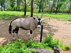 -大连森林动物园