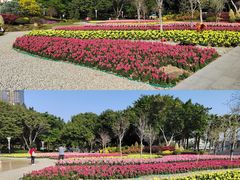 -文华公园(禅城区)