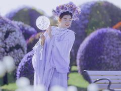 -荷兰花海