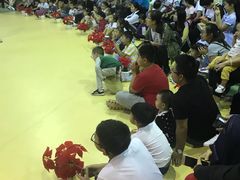 -萌宠奇缘