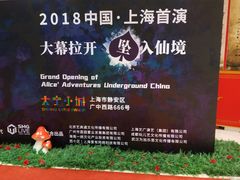 -爱丽丝冒险奇遇记