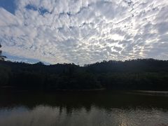 -滴水岩森林公园