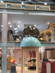 -奈尔宝·儿童乐园·亲子餐厅(星河湾店)