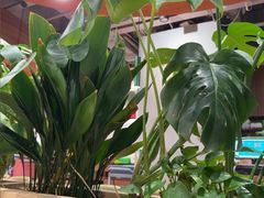 -云海肴·汽锅鸡·云南菜(曲江大悦城店)