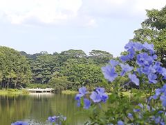 -东莞植物园
