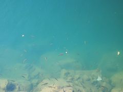 -丹东天桥沟景区