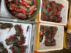 -开禾52阿伟海鲜加工