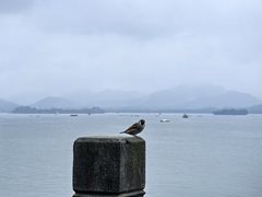 -湖畔居茶楼(湖滨店)