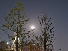 -安肯心理咨询(长宁旗舰店)