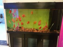 -西美医疗美容门诊部