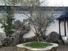 -八大山人梅湖景区