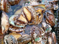 -芦潮港集贸市场